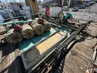 Kapal pukat untuk dijual