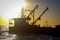 Kapal kerja untuk dijual