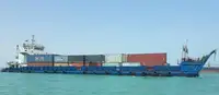 Pembawa pukal untuk jualan