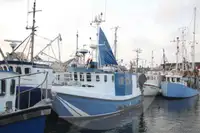 Pengangkut ikan hidup untuk jualan
