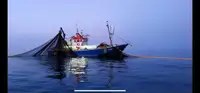 Trawler untuk jualan