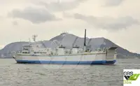 Ro-Ro ship untuk jualan