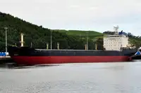 Pembawa pukal untuk jualan