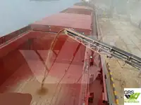 Kapal pengangkut pukal untuk dijual
