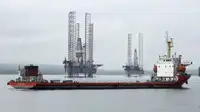 Pembawa pukal untuk jualan