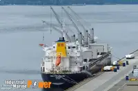 Kapal pengangkut pukal untuk dijual