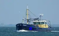 Kapal pukat tunda untuk dijual