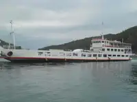 Ro-Ro ship untuk jualan