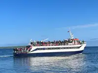 Kapal penumpang untuk jualan