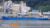 Pembawa pukal untuk jualan