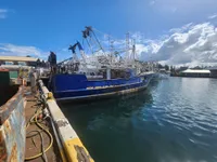Kapal pukat untuk dijual