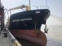 Pembawa pukal untuk jualan