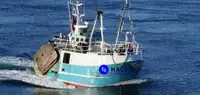 Beam trawler untuk jualan
