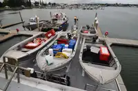 Kapal pukat untuk dijual