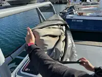 Kapal rondaan untuk dijual