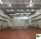 Kapal Ro-Ro untuk dijual