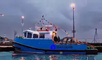 Kapal tunda untuk jualan