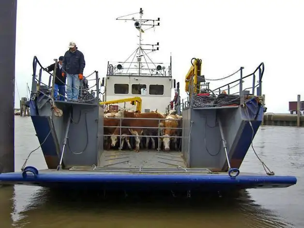 Kapal pendaratan, tangki untuk dijual