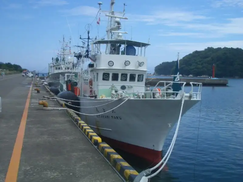 Penangkap ikan pukat tunda untuk jualan