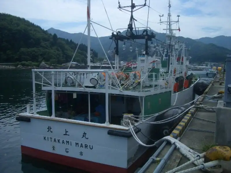 Penangkap ikan pukat tunda untuk jualan
