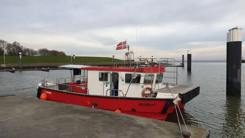 Katamaran untuk jualan