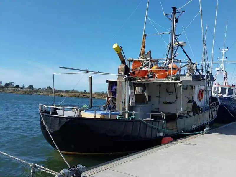 Kapal garis panjang untuk jualan