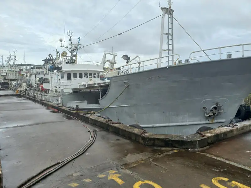 Kapal garis panjang untuk jualan