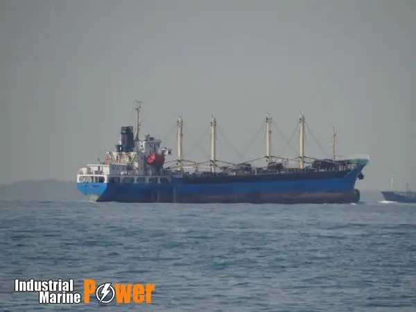 Pembawa pukal untuk jualan