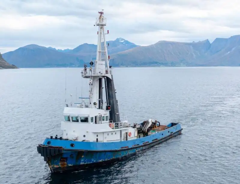 Bot tunda untuk jualan