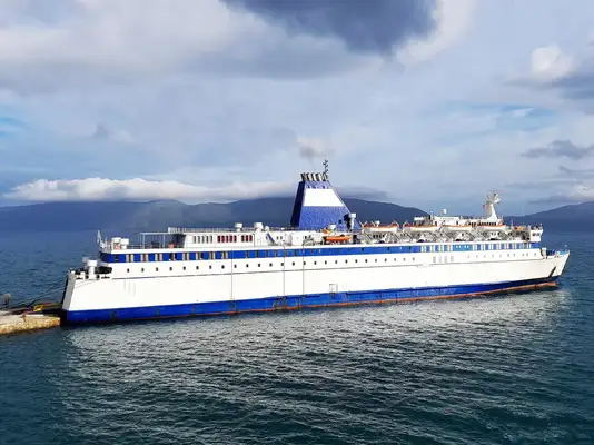 RORO ship for sale
