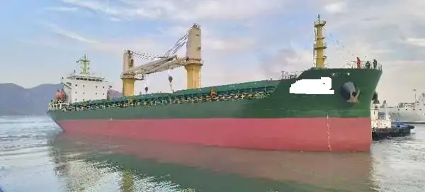 Bulk carrier for sale