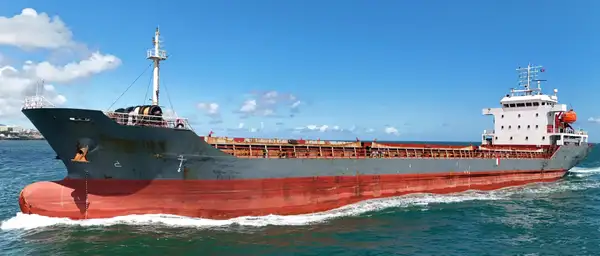 Bulk carrier for sale