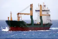 Pembawa pukal untuk jualan