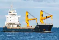 Pembawa pukal untuk jualan