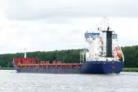 Pembawa pukal untuk jualan