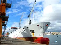 Kapal reefer untuk jualan