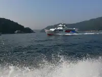 Kapal feri untuk jualan