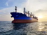 Pembawa pukal untuk jualan