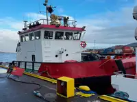 Bot tunda untuk jualan