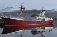 Pembawa pukal untuk jualan