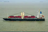 Pembawa pukal untuk jualan