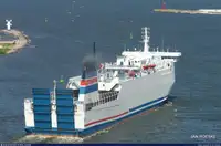 Pembawa pukal untuk jualan