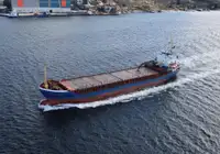 Pembawa pukal untuk jualan