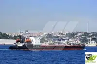 Pembawa pukal untuk jualan