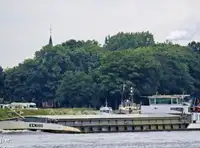 Pembawa pukal untuk jualan