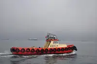 Bot tunda untuk jualan