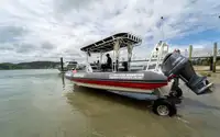 amfibia untuk jualan