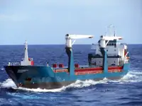 Pembawa pukal untuk jualan