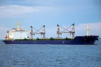 Pembawa pukal untuk jualan