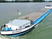 Pembawa pukal untuk jualan
